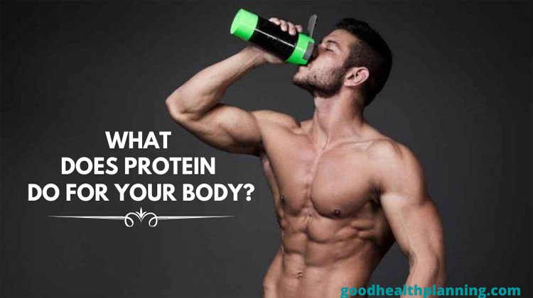 What Does Protein Do For Your Body?