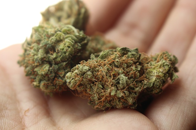 What is Delta 8 THC?