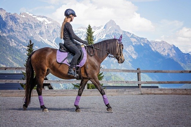 The Benefits of Horseback Riding