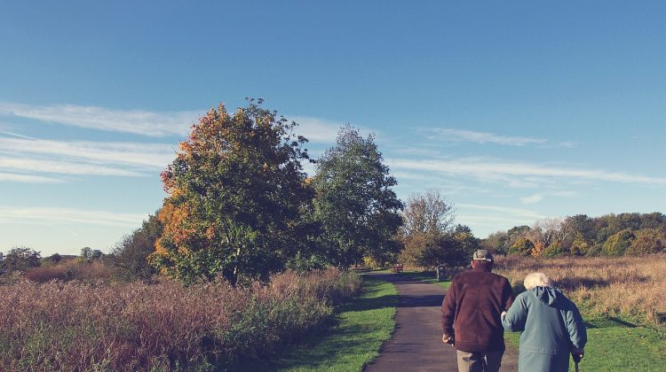 Companion Care for Your Aging Parents